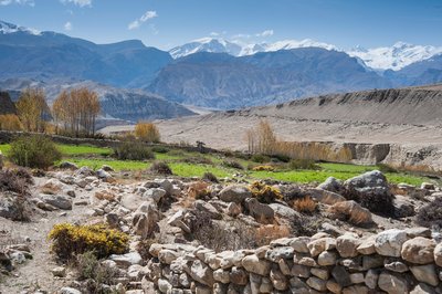 Der Blick auf Lo Manthang ist königlich 