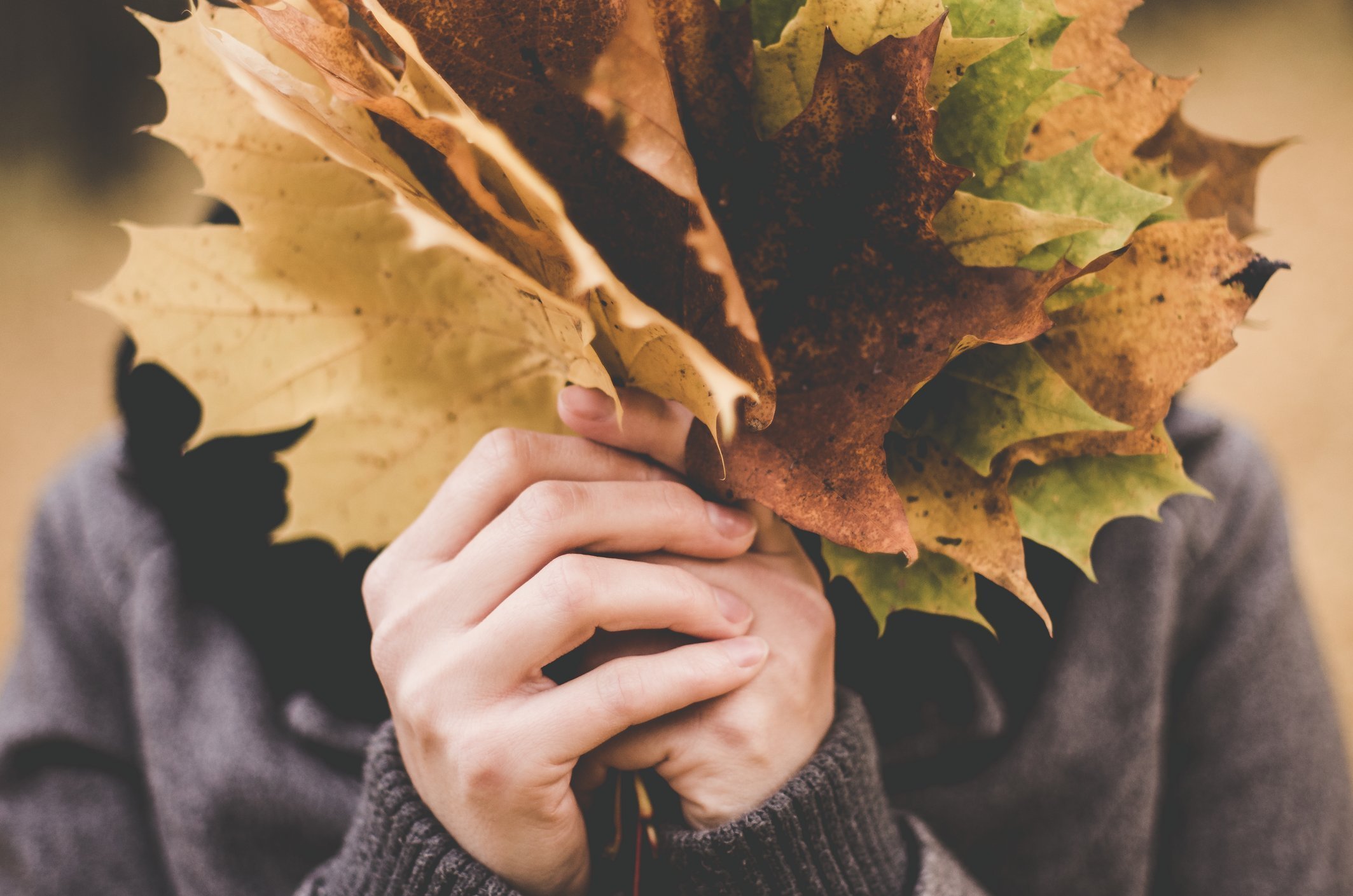 Blätter sammeln im Herbst