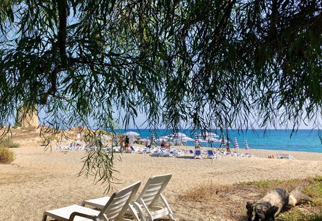 Entspannen Sie am Strand Sardiniens