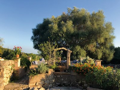 Überall auf dem Gelände werden Sie ruhige Rückzugsorte entdecken