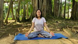 ayurveda-kur-sri-lanka-surya-lanka-resort-meditation Unter verwurzelten Bäumen meditieren
