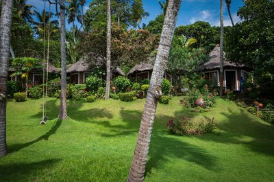Blick in den Garten und auf die Bungalows