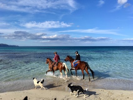 Reiten am Naturstrand auf Mallorca: etwas ganz Besonderes 