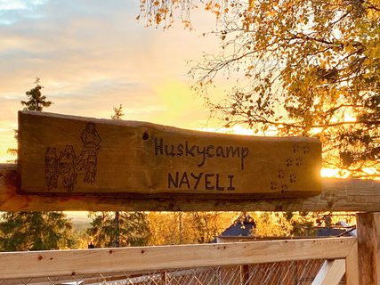 Das Huskycamp Nayeli in Lappland