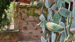 yoga-reisen-spanien-mallorca-finca-son-mola-vell-kakteen Im Garten kann man nicht nur bunte Blumen, sondern auch viele Kakteen entdecken