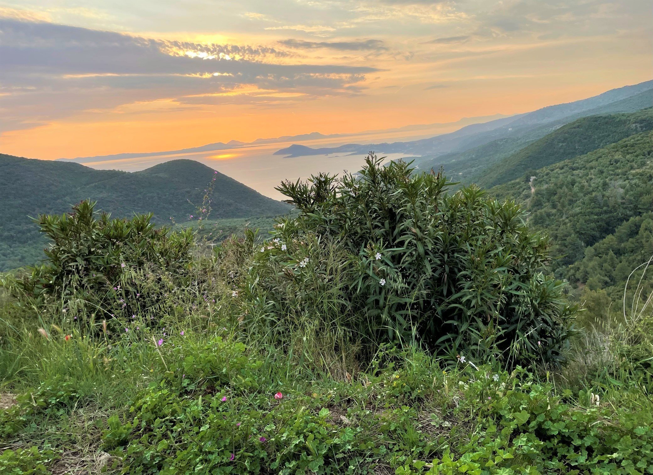 yoga-urlaub-griechenland-ilios-center-wald-sonnenuntergang Sonnenuntergang über der Bucht von Arillas