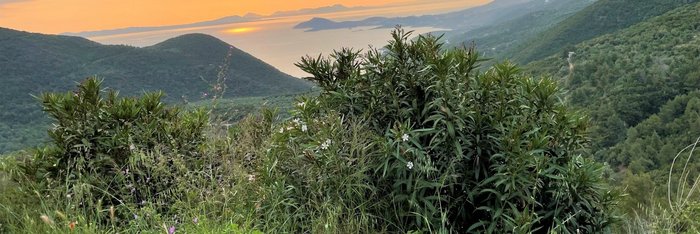 Sonnenuntergang über der Bucht von Arillas