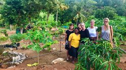 ayurveda-kuren-sri-lanka-reisen-sithnara-ayurveda-resort-ausflug-plantage-besuch Besuchen Sie während Ihrer Ayurveda Reise im Sithnara auch eine Plantage in der Umgebung