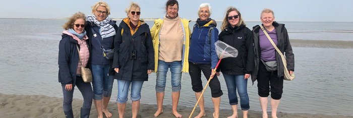 Die Yogis im Watt