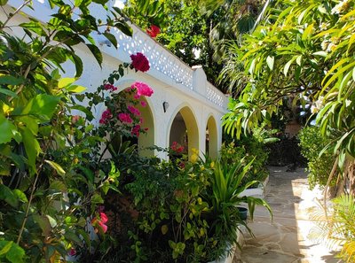 Durch die grüne Anlage zu Ihrem Zimmer