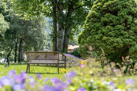 Bank im Garten