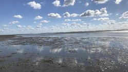 yoga-urlaub-deutschland-naturhotel-baltrum-wattenmeer Genießen Sie Spaziergänge durch das Wattenmeer