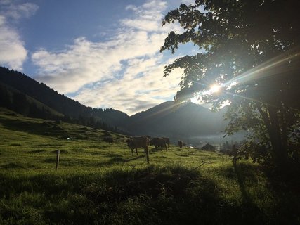 Perfektes Wetter: Sonnenschein und ein paar Wölkchen am Himmel  