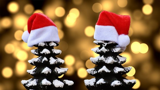 stimmung-weihnachten-baeume-winter-reisen-urlaub-feste NEUE WEGE Weihnachtsreisen