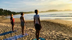 yoga-reisen-sri-lanka-talalla-yoga-retreat-yogastunde-meer-strand Wir spüren die Kraft bei unseren Yogastunden am Strand mit Weitblick aufs Meer