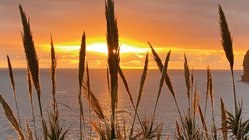 yoga-urlaub-portugal-madeira-hotel-galosol-anlage-sonnenuntergang Traumhafter Sonnenuntergang über dem Atlantischen Ozean