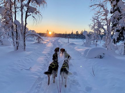 Mit den Schlittenhunde dem Sonnenuntergang entgegen