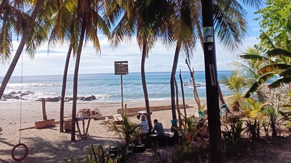 Strand mit Palmen