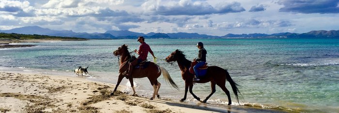 Reitausflüge auf Mallorca runden Ihren Yoga-Urlaub in der Finca Son Mola Vell ab 