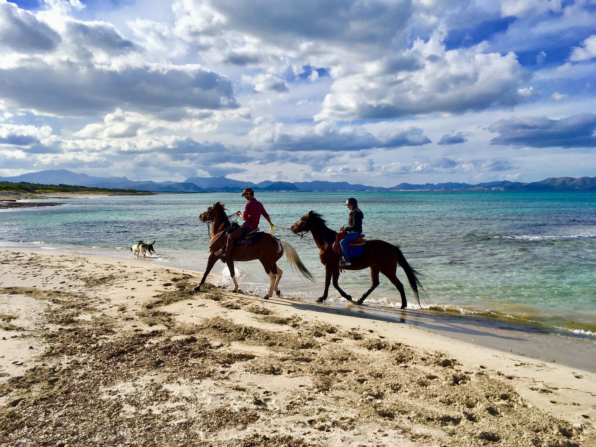 yoga-urlaub-spanien-balearen-mallorca-finca-son-mola-vell-pferde-reiten-reitausflug-strand-natur Reitausflüge auf Mallorca runden Ihren Yoga-Urlaub in der Finca Son Mola Vell ab