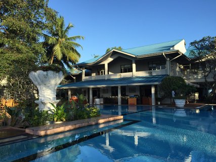 Blick auf den Pool des Oasis vom Garten