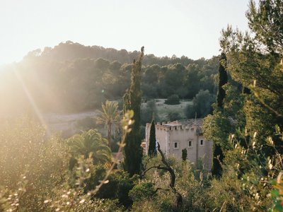 Die grüne Umgebung der Finca