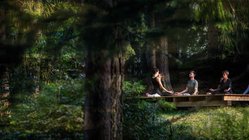 yoga-urlaub-suedtirol-hotel-gasthof-saalerwirt-wald-yoga Frische Waldluft beim Yoga einatmen