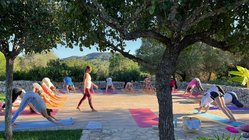 claudia-hubberten-yoga-urlaub-spanien-mallorca-finca-son-mola-vell-herabschauender-hund Üben Sie Yoga in der Sonne Mallorcas