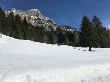Entspannung in der Natur Österreichs im Lechtal 