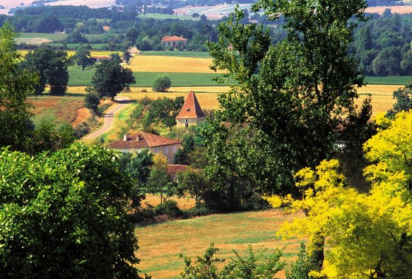 Der Nationalpark der Gascogne