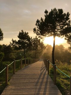 Nach dem Yoga den Sonnenuntergang genießen
