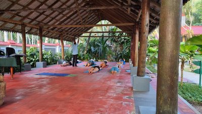 Regenerierende Yoga Einheiten am Morgen erleben