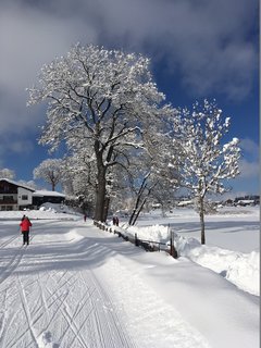Skilanglaufen in den Ammergauer Alpen 