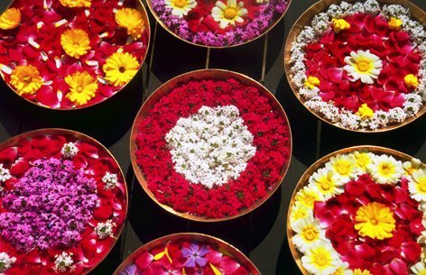 Genießen Sie die bunte Blumenvielfalt im Rajah Beach
