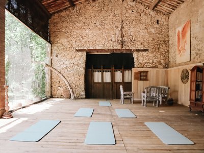 Gemeinsam Yoga üben in der hellen Shala