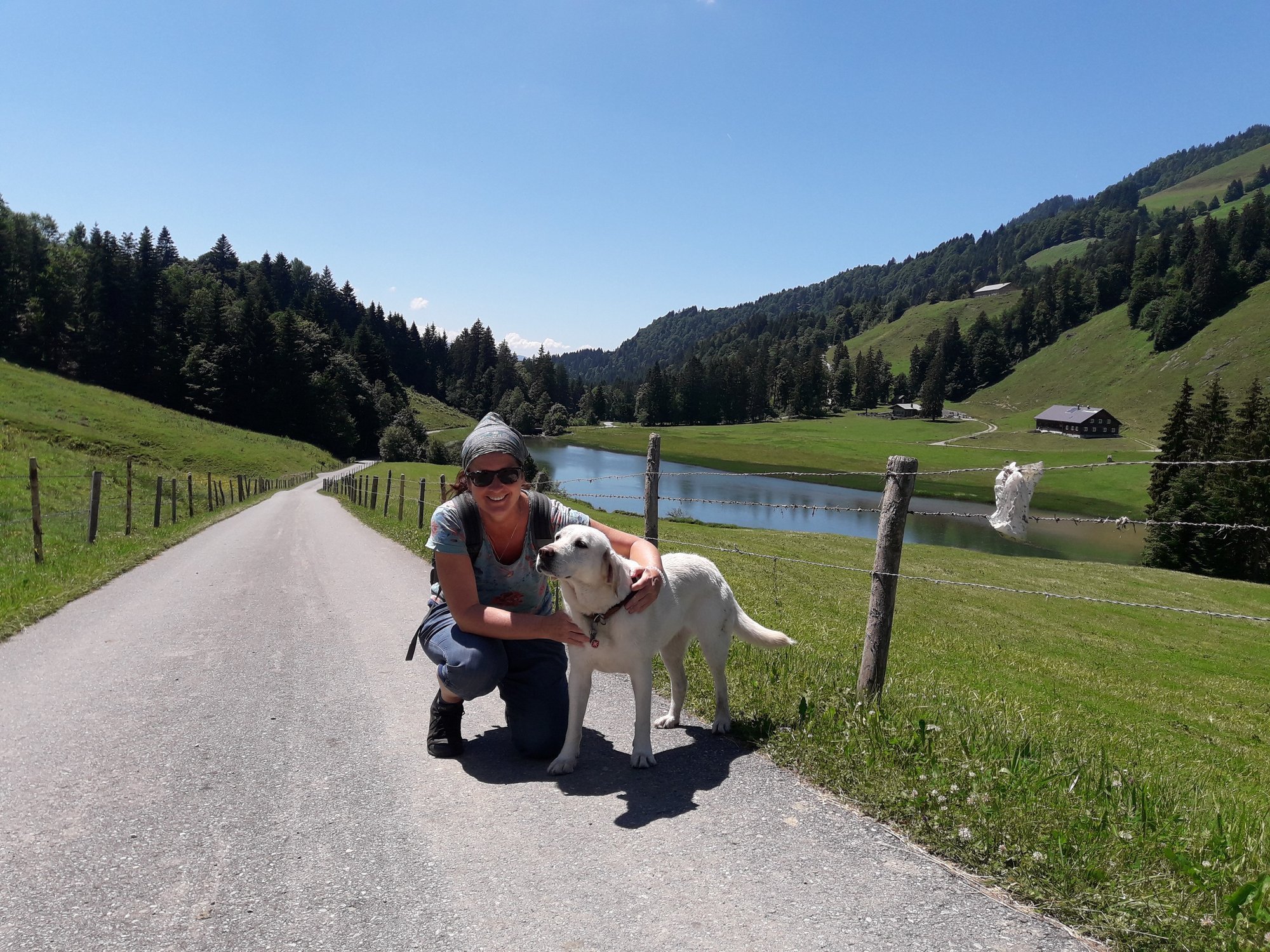 yoga-urlaub-deutschland-allgaeu-balderschwang-bio-berghotel-ifenblick-wandern-hund Wanderung durch die saftig grünen Wiesen des Allgäus