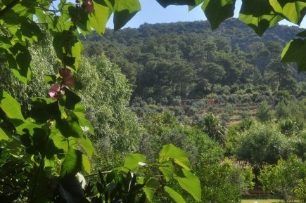 traumhafter Ausblick