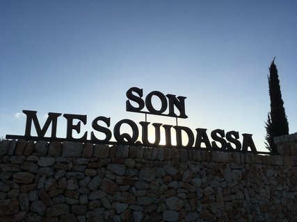 Besichtigung der Olivenplantage Son Mesquidassa auf Mallorca