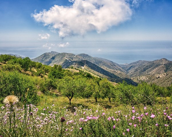 Die Landschaft in Andalusien gekennzeichnet durch Berge und Blumenwiesen