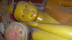 DSCF4881.jpg DSCF4881