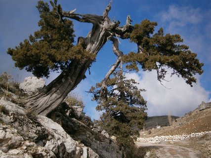 Wanderweg an der Lykischen Küste der Türkei