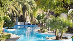 Ein Swimming-Pool mit Palmen 