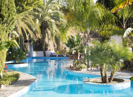 Ein Swimming-Pool mit Palmen 