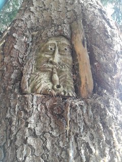 Baumwesen im Zauberwald