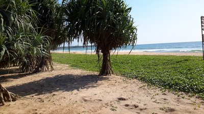 Der lange weiße Sandstrand lädt zu Strandspaziergängen ein