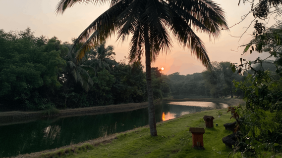 Sonnenuntergang über den Back Waters