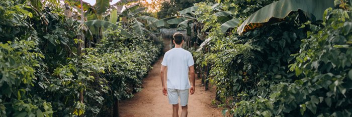 Mann läuft auf einem Weg durch einen grünen Garten