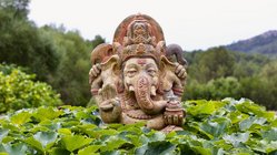 yoga-reisen-spanien-mallorca-finca-son-mola-vell-garten Der Garten bietet so viel zu entdecken. Auch perfekt zum frühstücken & entspannen