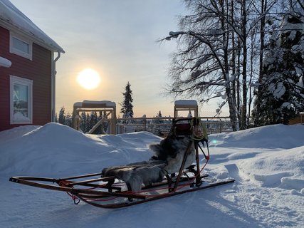 Traditioneller Schlitten für das Husky Abenteuer