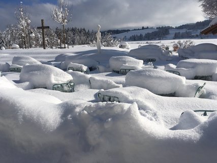 Verschneite Ammergauer Alpen 